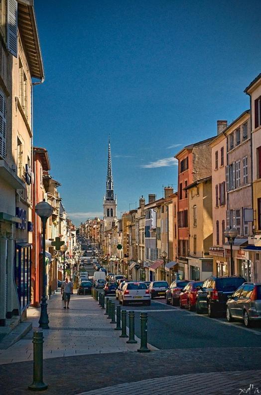 Le Cosy Shelby Proche Gare 150m Villefranche-sur-Saone