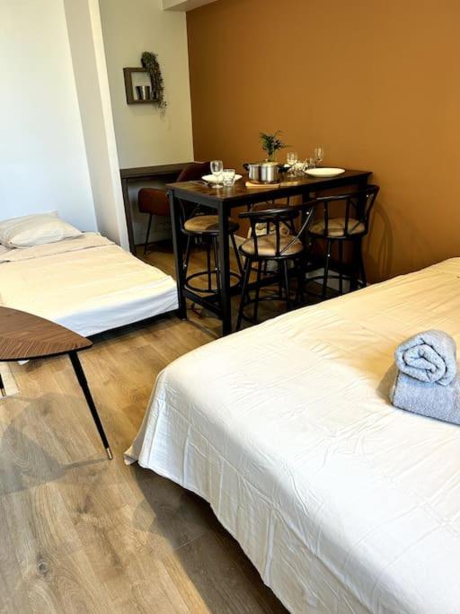 Appartement Le Cosy Shelby Proche Gare 150m Villefranche-sur-Saône